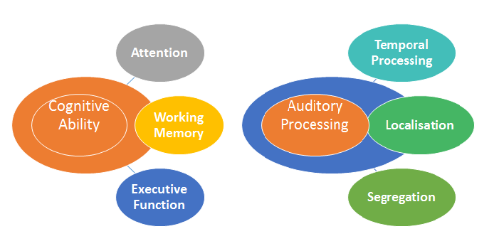 auditory-processing-disorder-common-questions