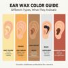 Ear Wax Color Chart: What Your Earwax Says About Health (Cerumen color)